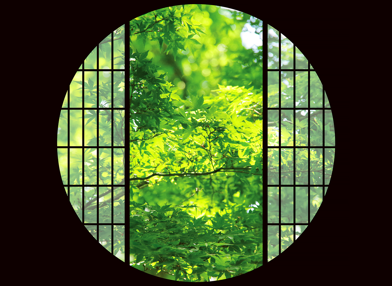 Japanese Tea Ceremony And Zen